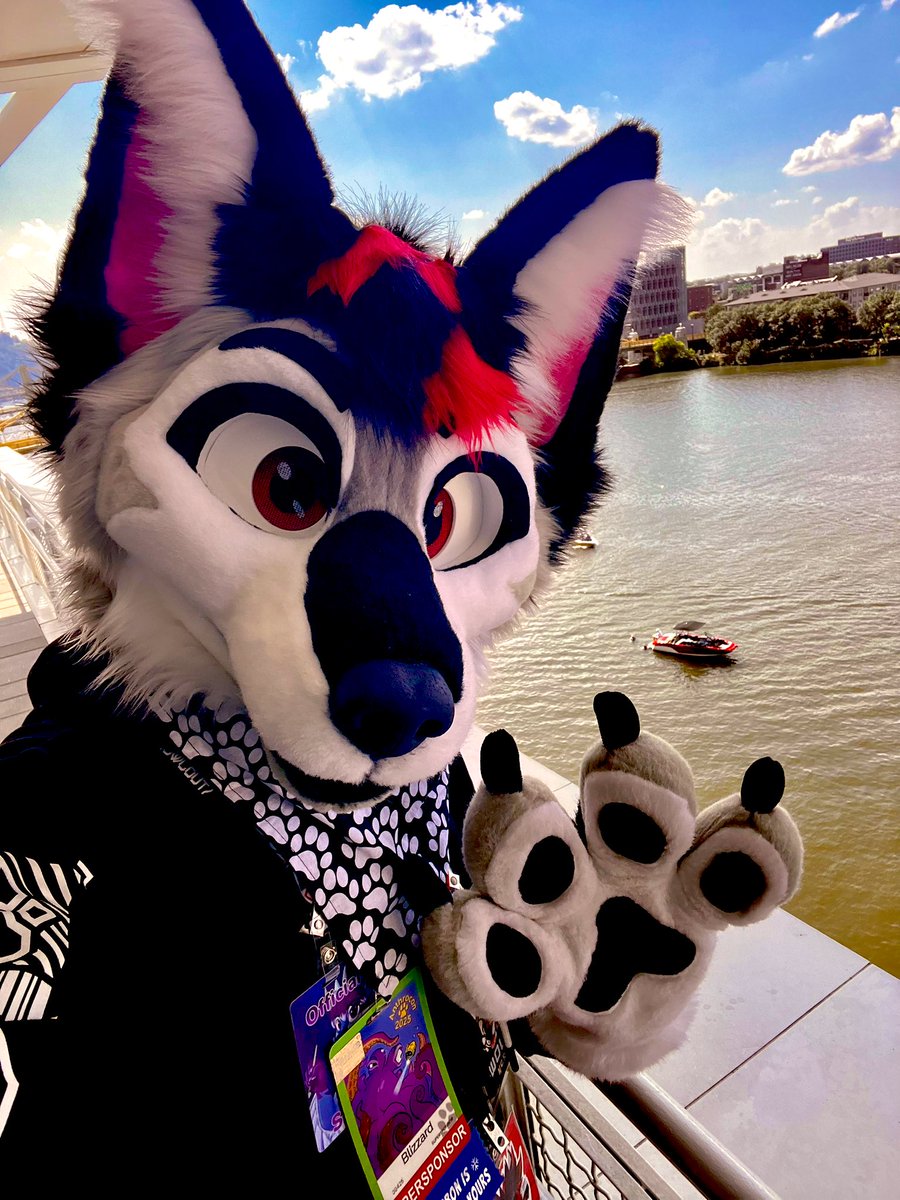 Theblizzardwolf's tweet image. But first….
Lemme take a selfie
#anthrocon2025