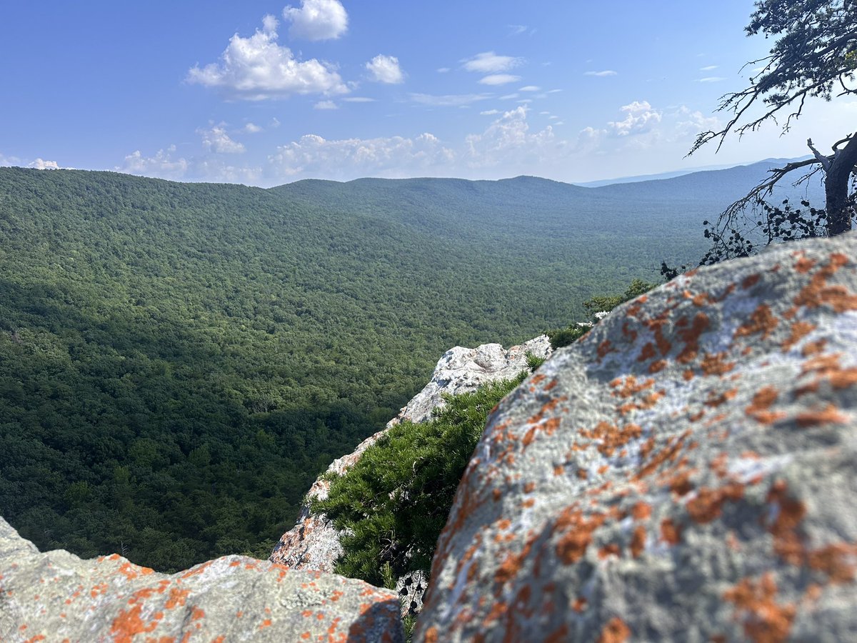 CoachJFarr's tweet photo. Sunburst lichen growing on granite outcrops near McDill Point in the Cheaha Wilderness. @spann @ALStateParks https://t.co/DWU3SXF5Od