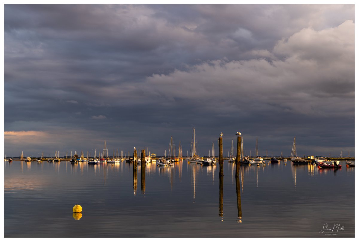 Shaun Mills tweet media