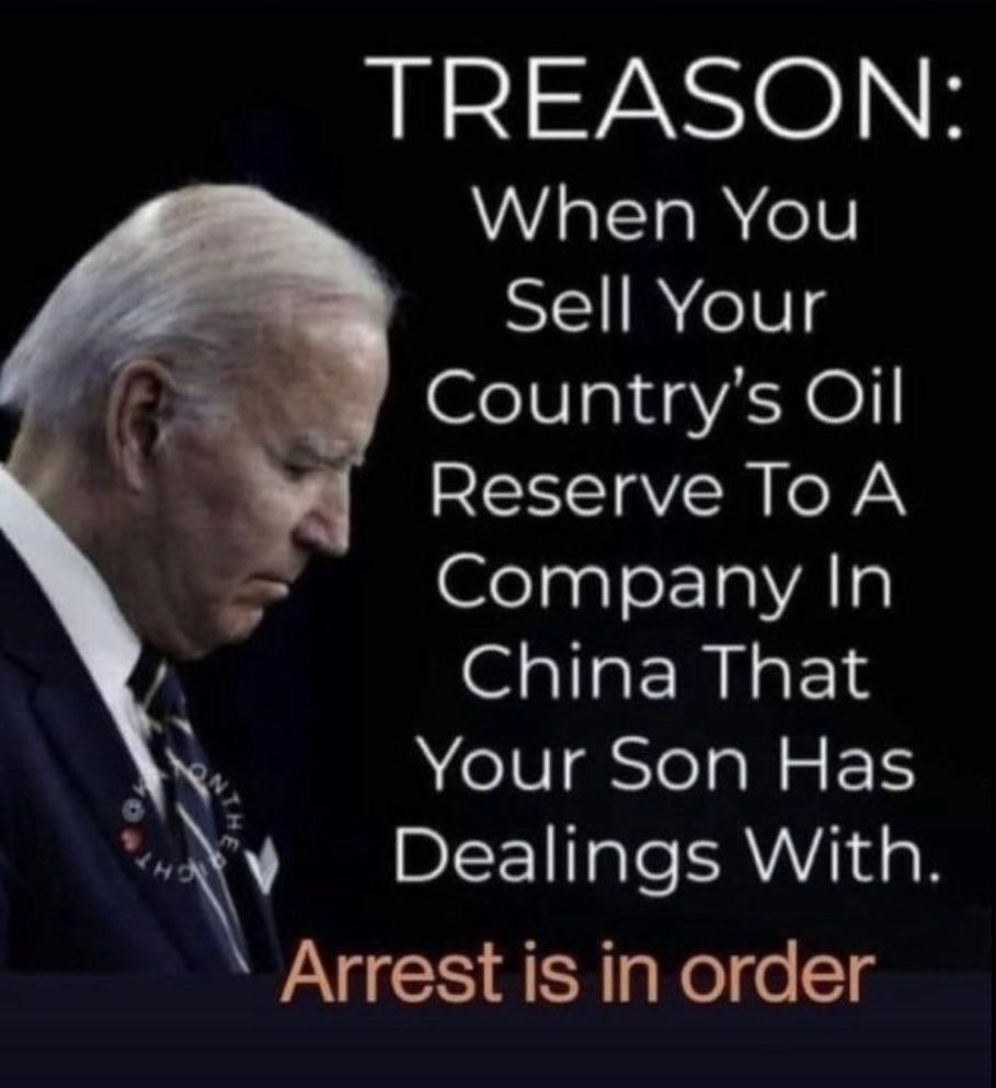 Diane_Jackson7's tweet image. Why isn’t our country doing something about all the treason Biden did !?