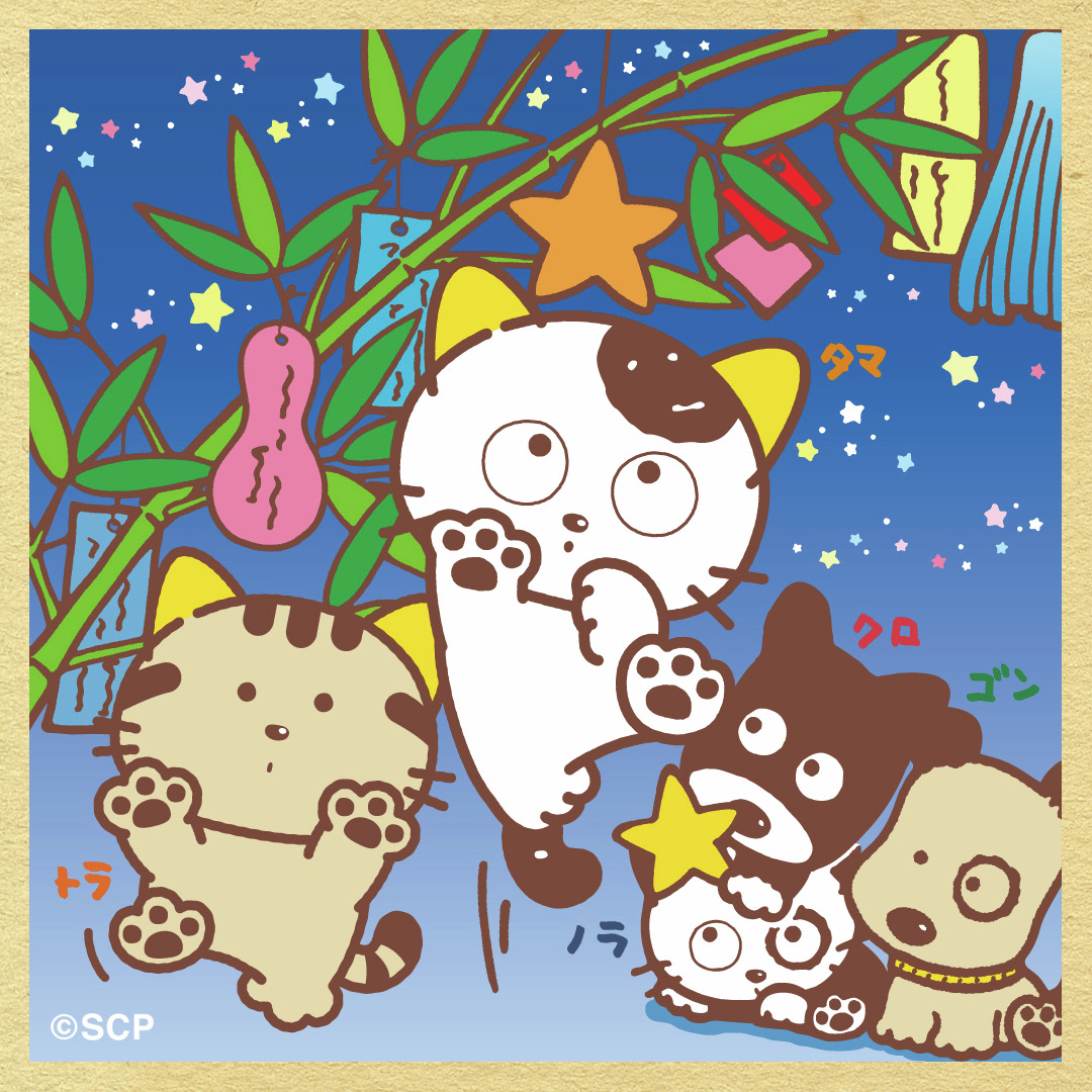 七夕の夜🌌🎋
さらさら揺れる短冊や飾りは猫たちに狙われがち🤭