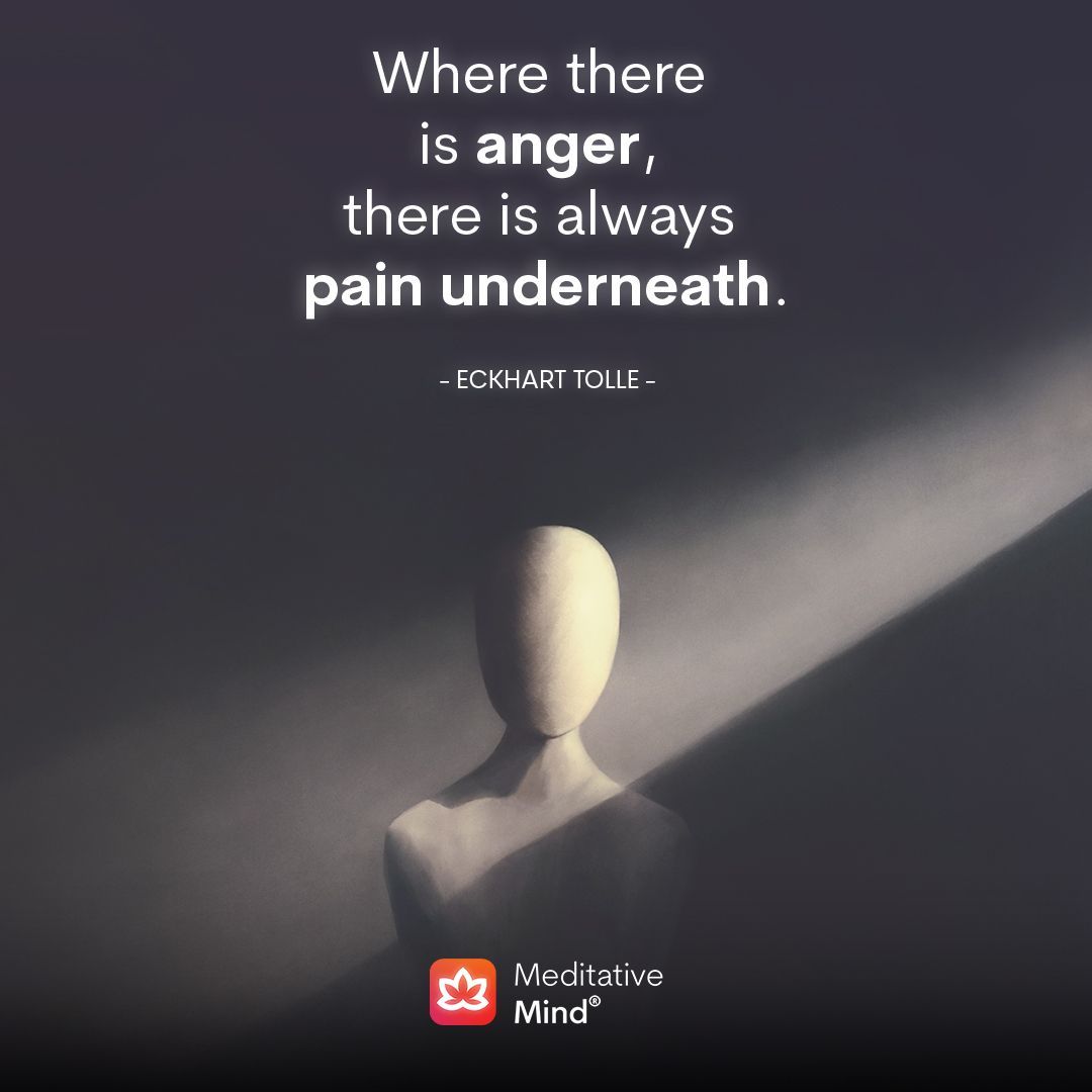 Meditative Mind tweet media