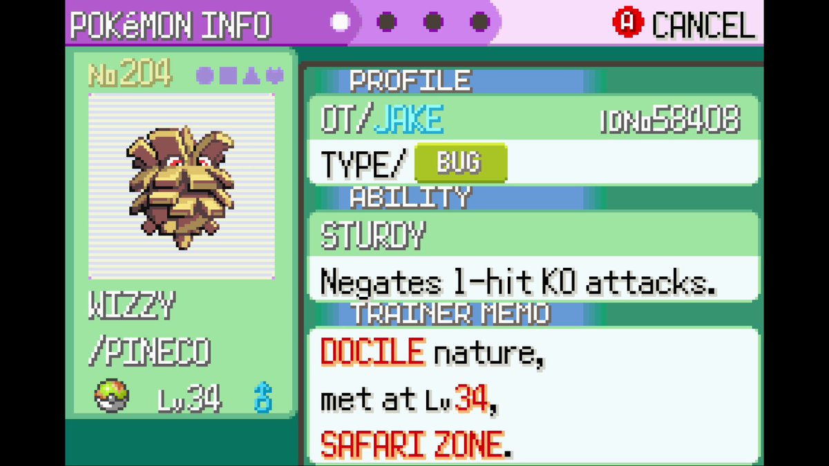 n0lain's tweet image. Finally wrapped up my first Hoenn #safariweek phase (7th phase overall) with Pineco! Named after Wizzy since he beat Cody at GOML just before the catch :-)

Overall a pretty good safari week for me, hopefully I will post a compilation video sometime soon