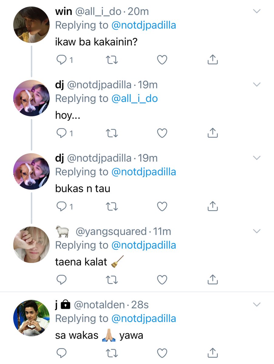 🎱 tweet media
