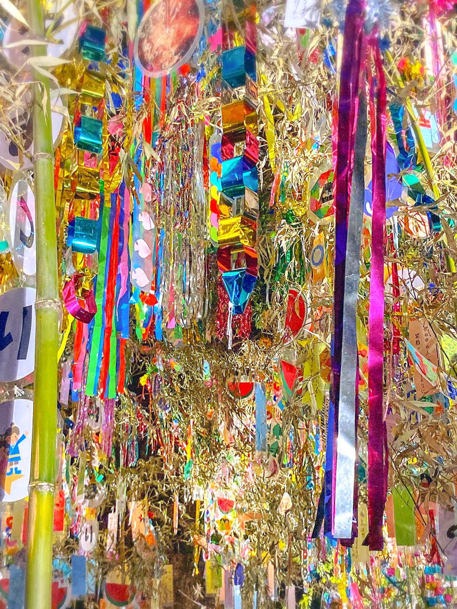 BUmc9's tweet photo. ✶* ࿐·̩͙𓅫⸒⸒

 短冊に願いを込めて
        みんなの想いが 届きますように

                      ☆。.:＊・゜ 【七夕】🎋 https://t.co/vmxD5U0RSh