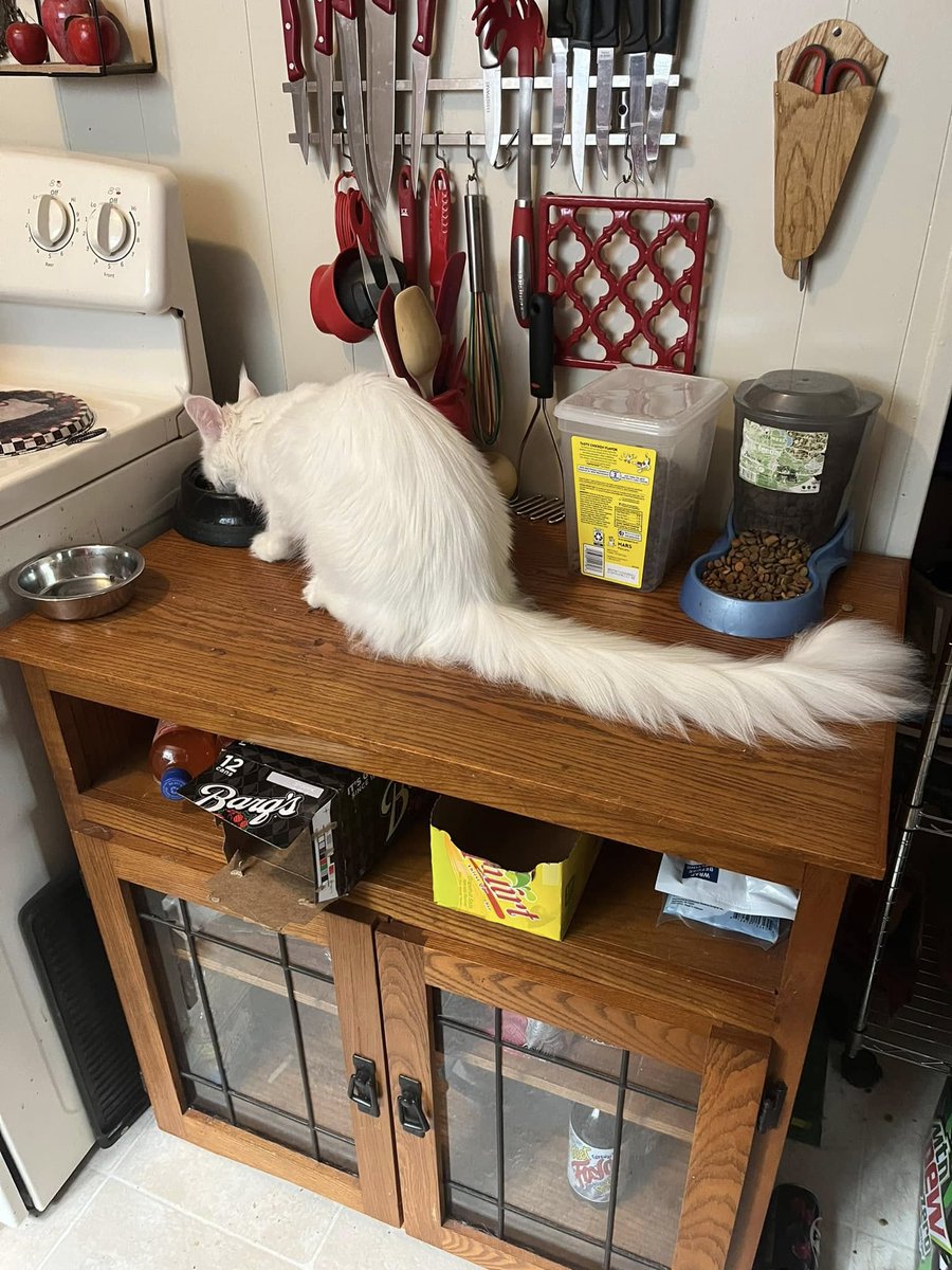 passive jay tweet media