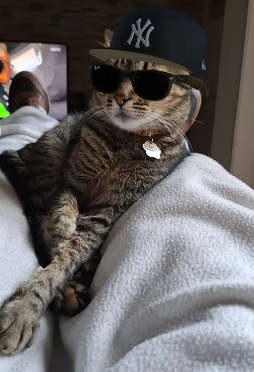 Walter Foscaldi tweet media