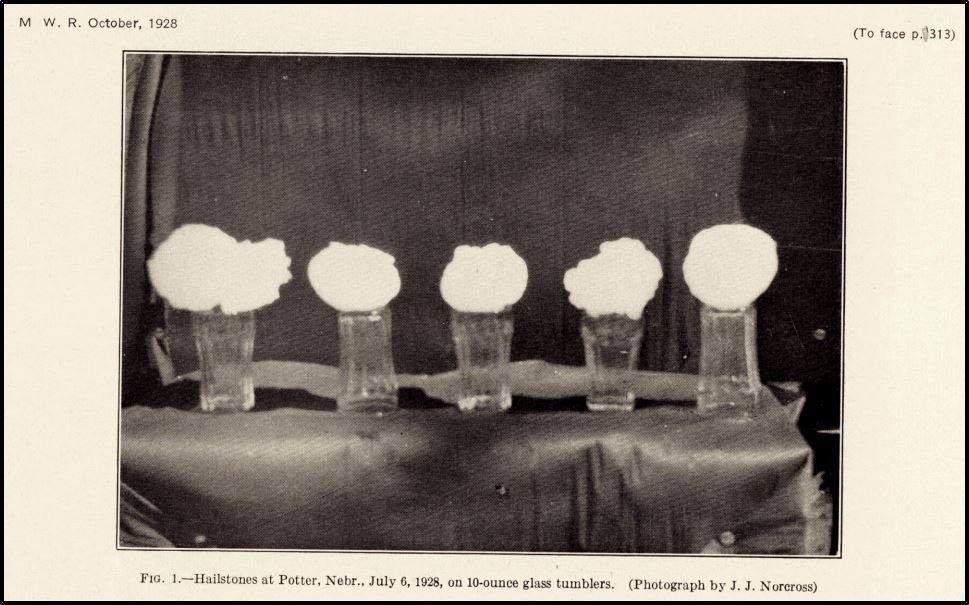 July 6, 1928:

A very powerful thunderstorm produced massive hailstones in Potter, Nebraska. One stone found by a resident had a 17-inch circumference and weighed 1.5 pounds. At the time, this appeared to have been the largest hailstone ever recorded on the planet.

#wxhistory