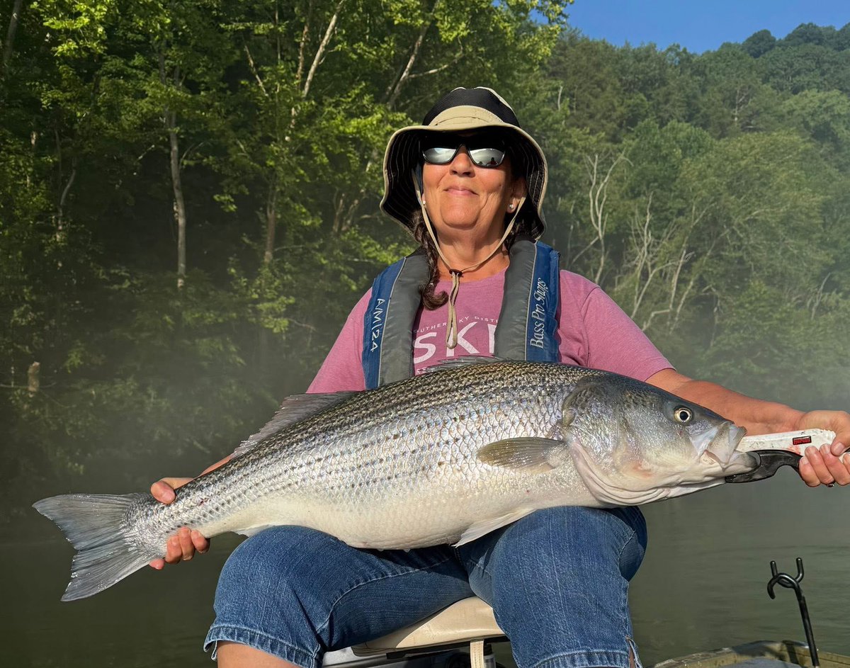 Caught this beast! Cumberland River! 🎣♥️