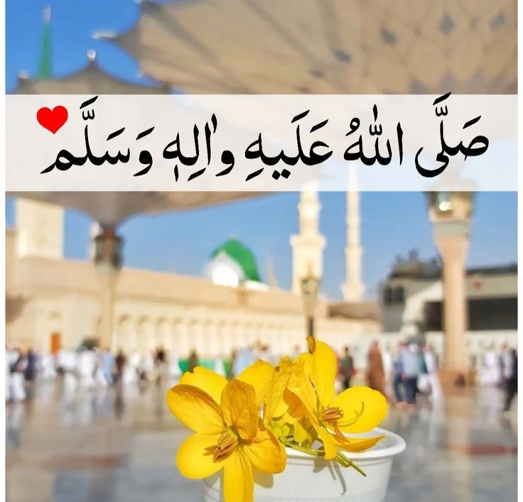 اللهُّم صلِّ و سلّم على نبينا محمّد ﷺ.♥️