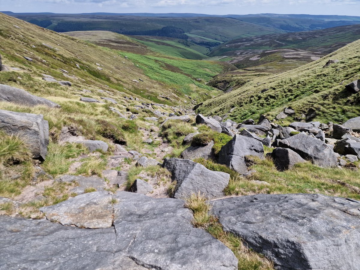 Maximilian Lebmeier tweet media