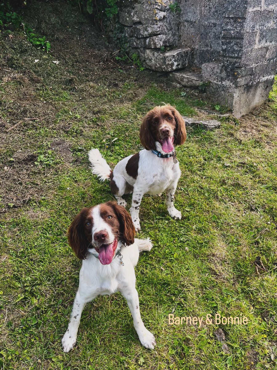 Samantha Turl 💙 tweet media