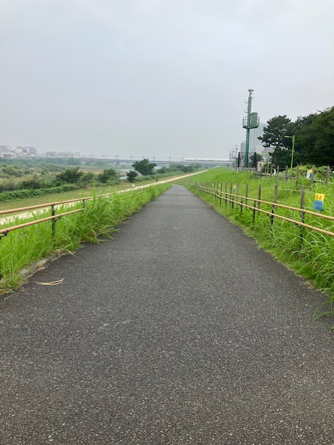 緩い坂道🤣を利用して
駆け上がり往復ダッシュ
のつもり🤣をしてきました
50本やるぞ～と意気込んだんだけど
20本でバテました🤢
ちょっとずつ🤣