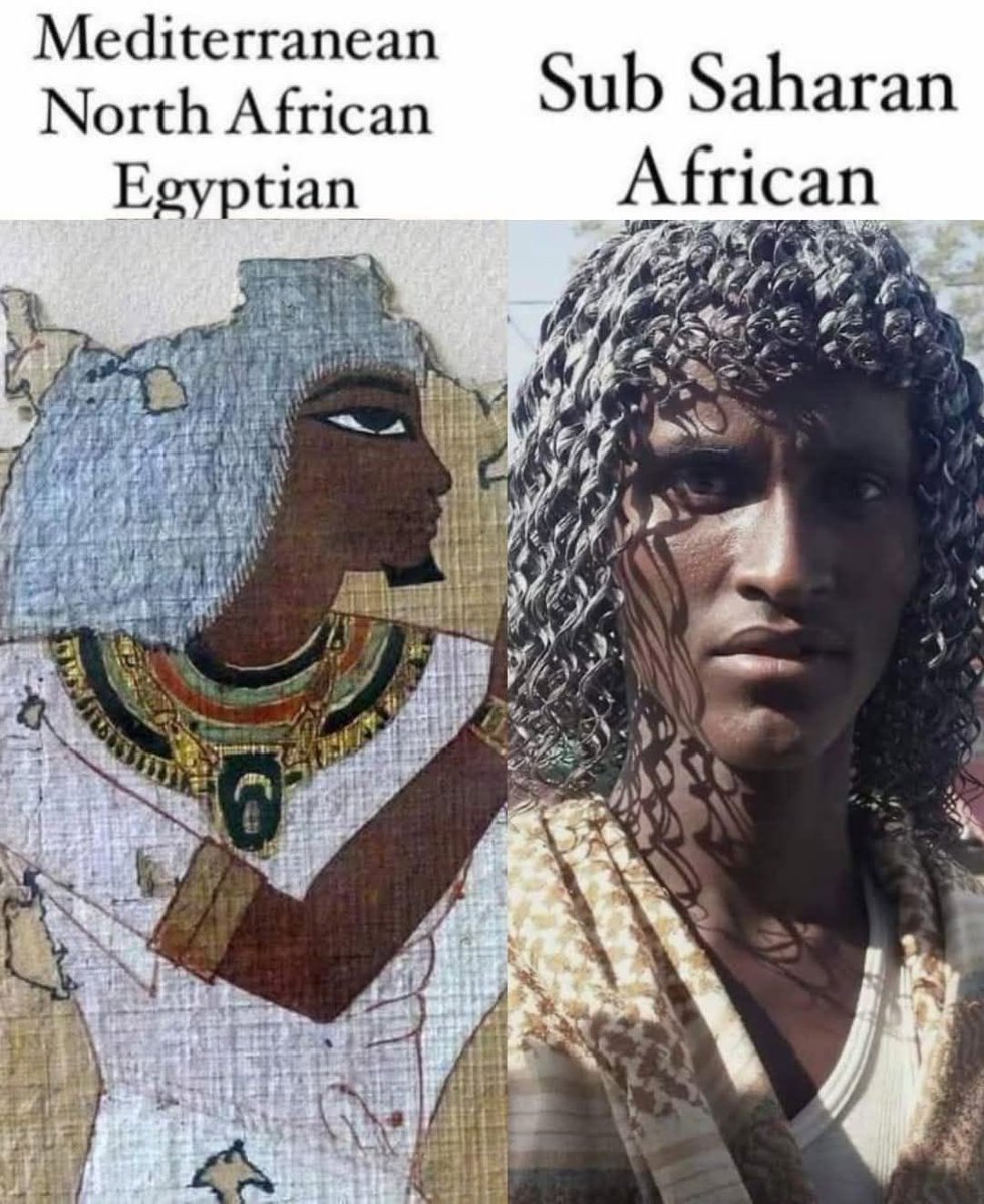 Joe__Bassey's tweet photo. They created the derogatory term Sub-Saharan Africa just to claim the region south of Egypt has no history, but the truth is Kemit (Ancient Egypt) was a black African civilization. https://t.co/Te783sk2Hk