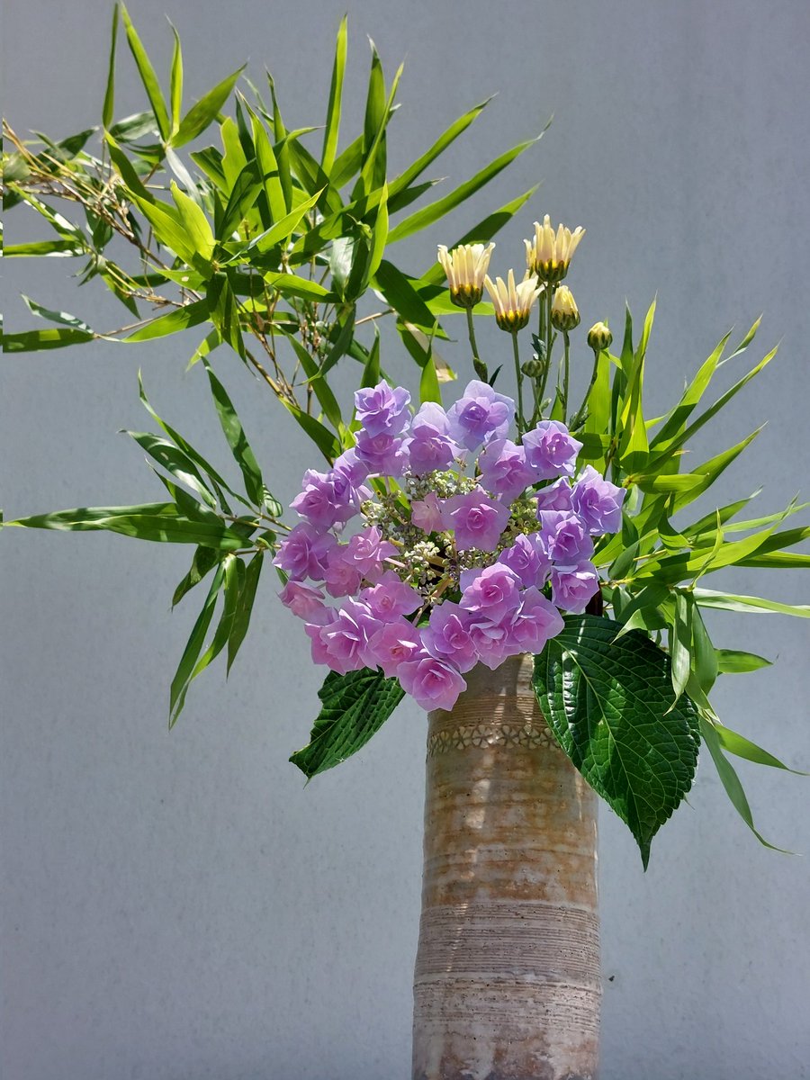 dHuHBSNDDW6QiBo's tweet image. 7/7(月)☀️おはようございます
🍀皆さま🍀
ご訪問有難うございます🥰
笹の葉さらさら🎼
今年の七夕は
生け花にしてみました🎋
綺麗な星空が
見れると良いですね🌌
今週も宜しくお願い致します💐😊🍀
#七夕 #お花大好き