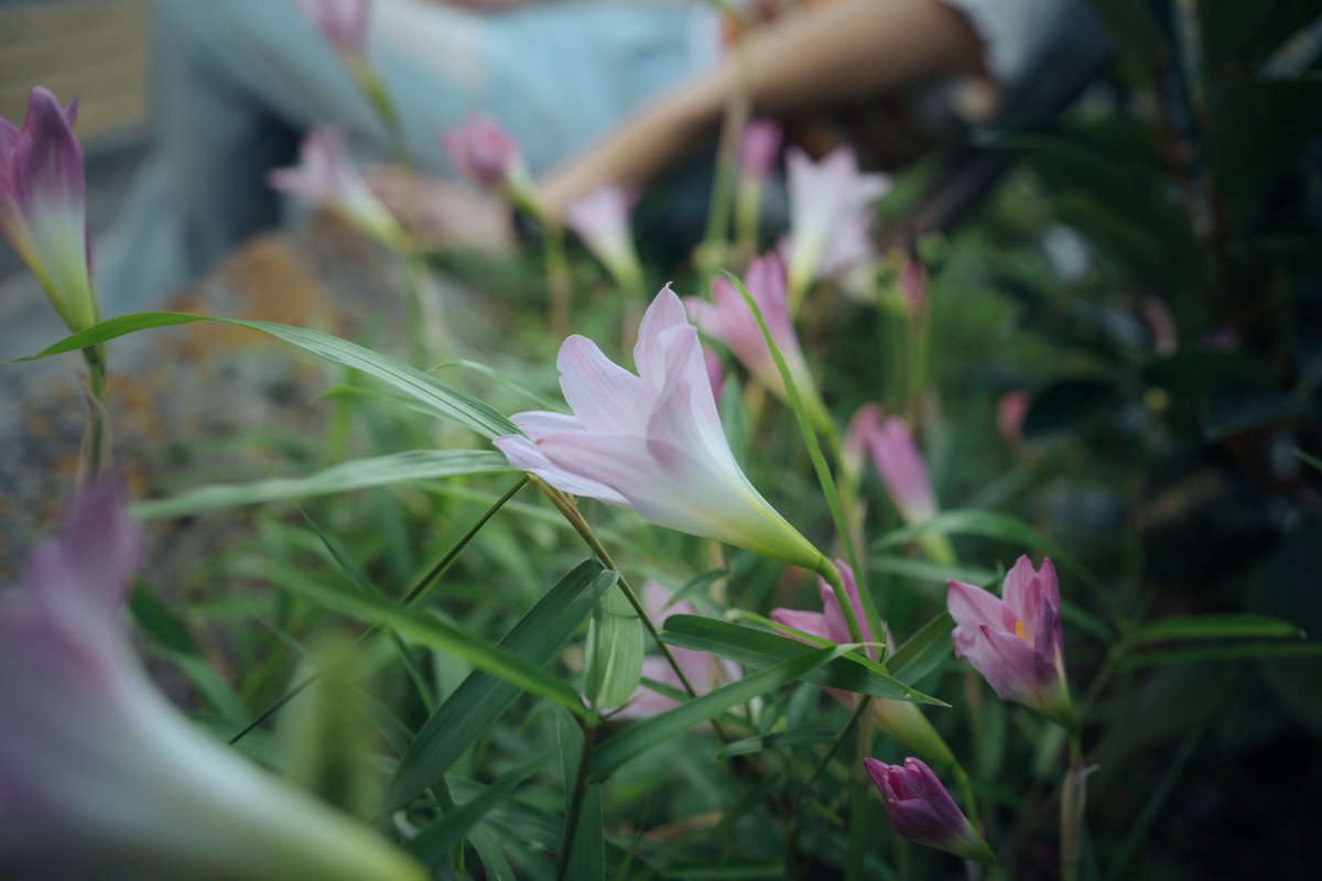 暖かい風の中　#gallery_no8