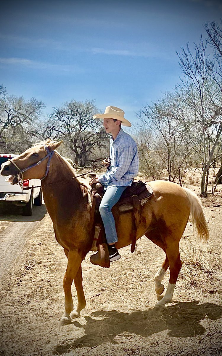 🎶🎼Tierra trágame
Pero escúpeme de vuelta a la parte del tutorial, o un poquito más atrás, junto a aquel perro guardián, mi papá fue por cigarros y no tarda en regresar.

Amalaya despertar, en la casa de mi amá
y que todo fue un mal sueño
y es mi sexta navidad🎶🎼