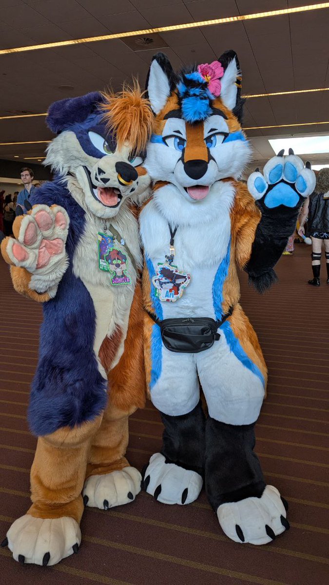 AussieFluffButt's tweet image. Puppy and a certified pretty fop ✨️
🦊 @FoxNamedAri