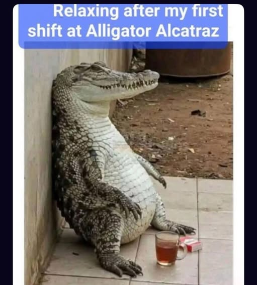 Karl Lasky (@karllasky) on Twitter photo 