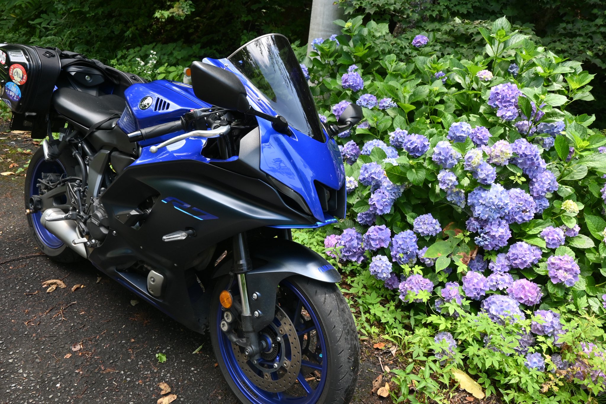 令和7年7月7日はr7の日 - Search / X