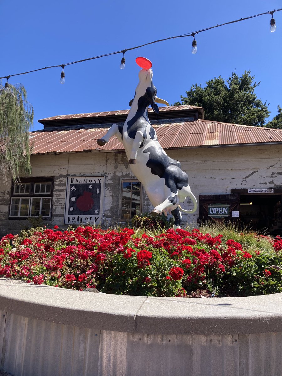 VegasAdjacent's tweet photo. Spending the week out in #SLOCal (Paso Robles, Templeton, Cambria) has been amazing. Great food, chill vibe, beautiful views and just the right amount of weird. https://t.co/6WheMyUfLS