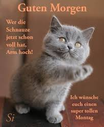 marillion13's tweet photo. Das war gestern um 17.50 Uhr wieder mal typisch, das Wetter wechselt, und ich hab eine #MigräneAura gekriegt und musste schon wieder eine #Sumatriptan nehmen, die #Migräne ist jetzt definitiv chronisch.
#MigräneNervt. https://t.co/FWUIvftZgf