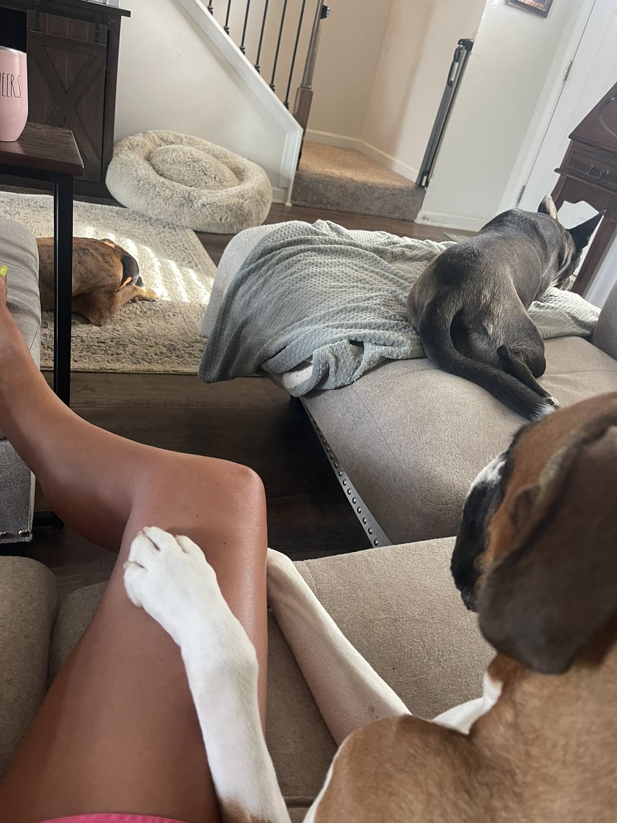 SamIAm🌻 tweet media