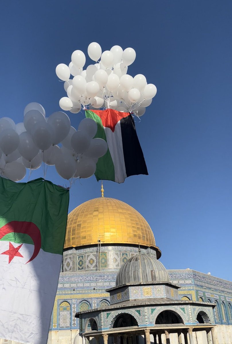 Bir sabah gelecek kardan aydınlık 🌿