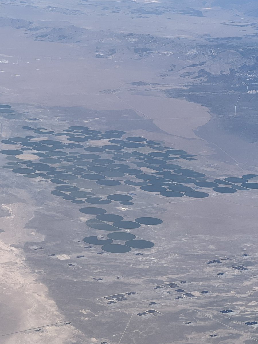 Hey I’m in a plane and am seeing a fleet of mother ships! Grandmother and great grandmother ships too. Matt let Lue know!