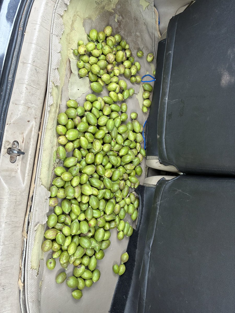 GvSubbaReddy20's tweet image. 