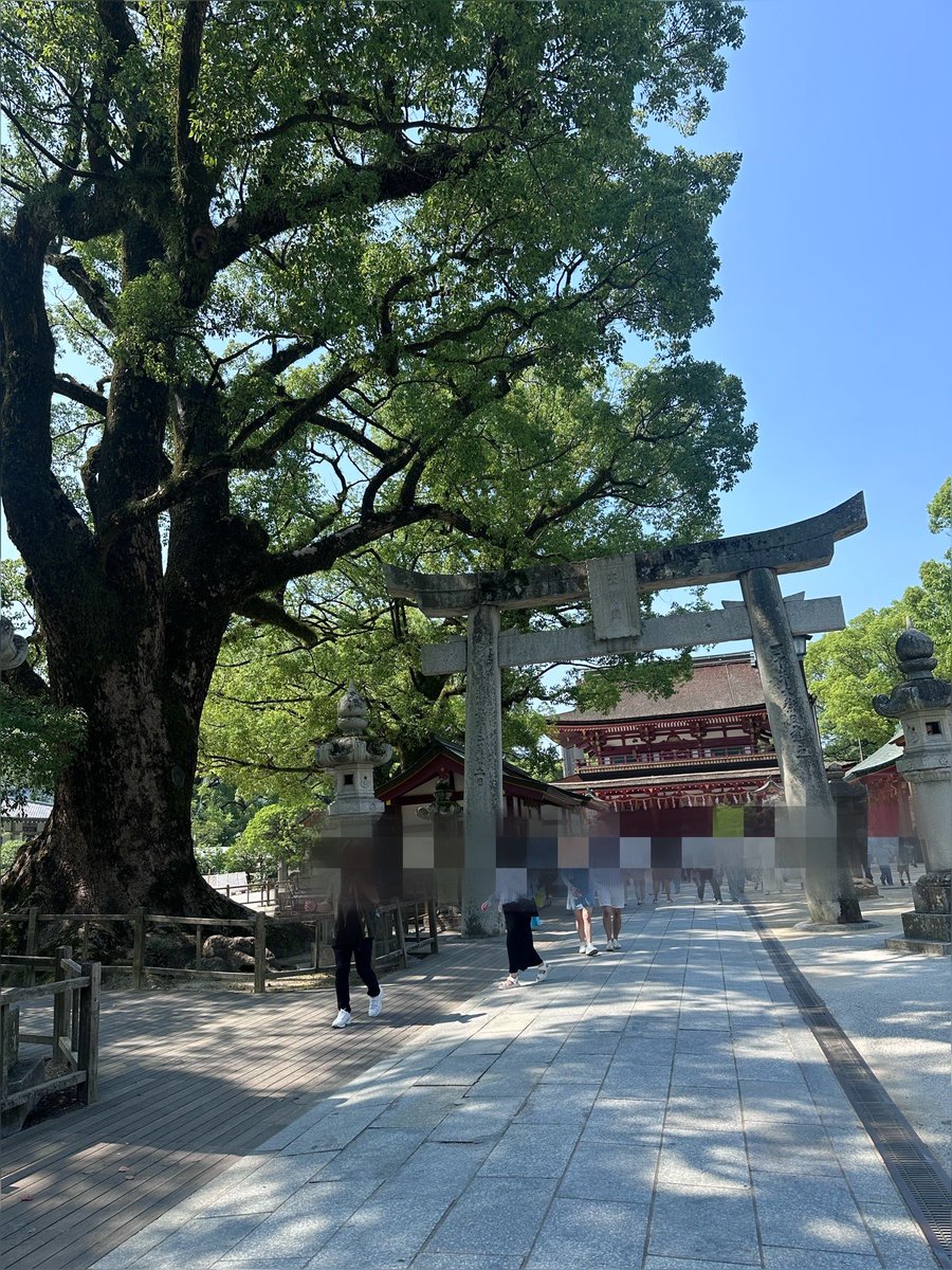 おはようございます。
今週も我々人類が安心して経済活動できる気温をはるかに超えた日々が続きそうです。

どうかお身体は大切に。

御神木と鳥居⛩️置いておきます。