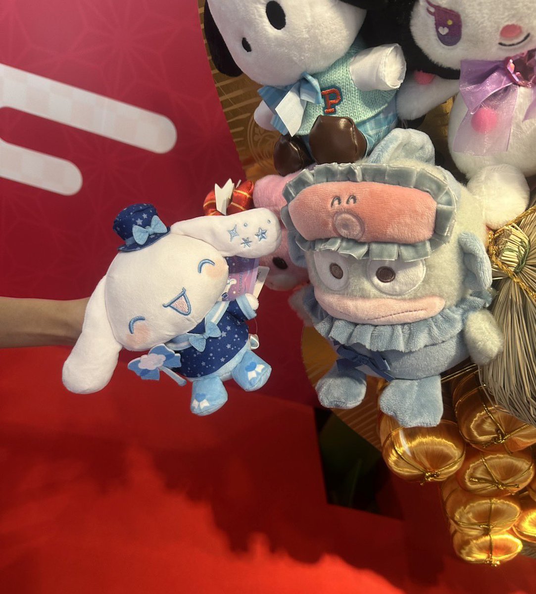 ピューロランドｖ（＾＿＾ｖ）♪