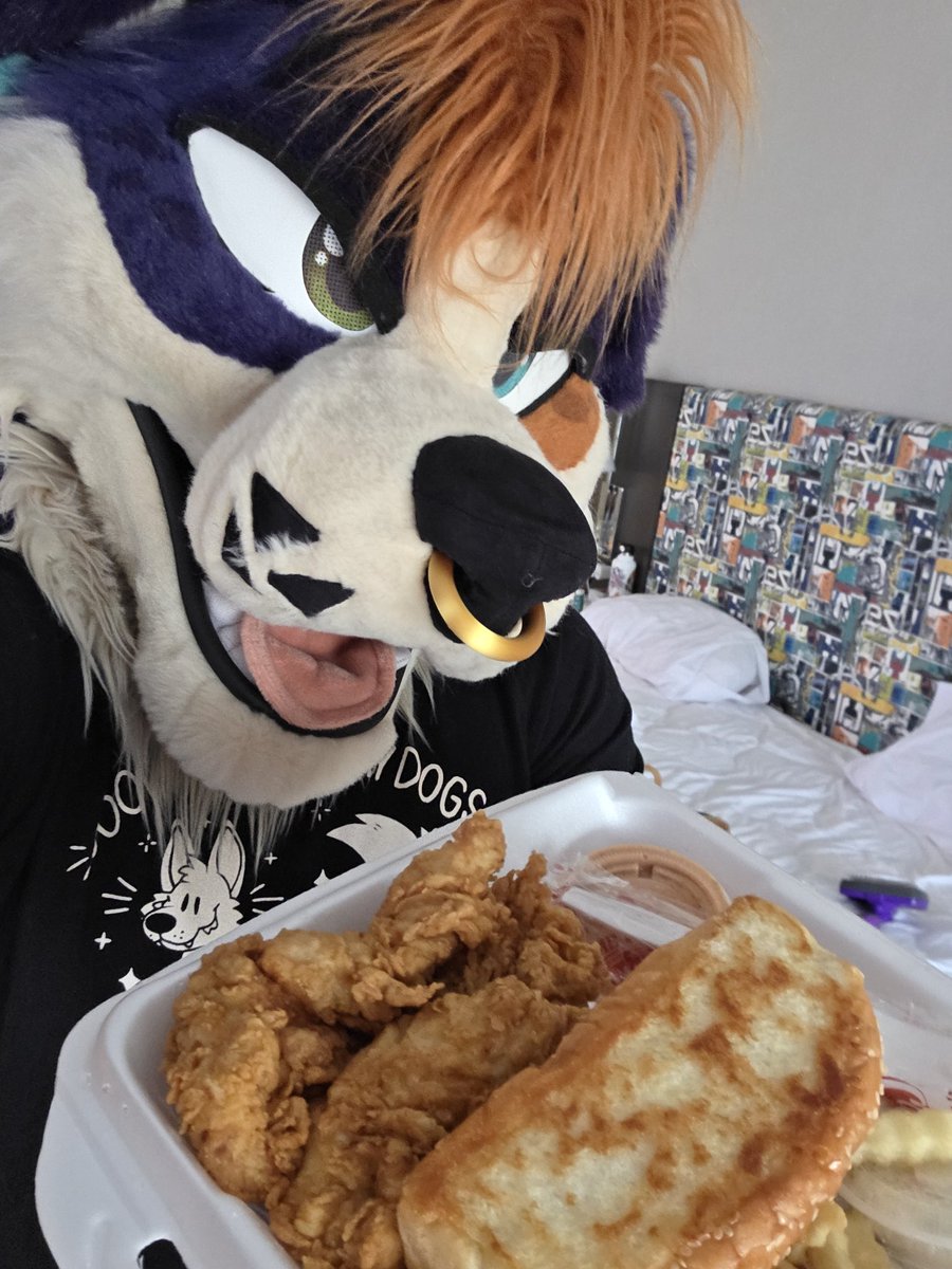 AussieFluffButt's tweet image. Its not a furry convention without some Cane's. Who wants to share with a puppy
