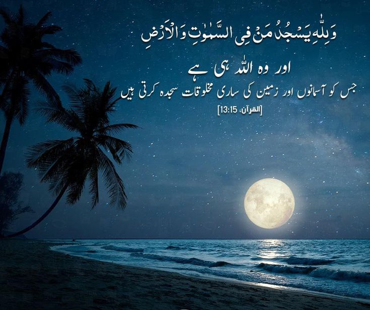 السلام علیکم ورحمۃ اللہ وبرکاتہ ،
اور وہ اللہ ہی ہے جس کو اسمانوں اور زمین کی ساری مخلوقات سجدہ کرتی ہے، بے شک سبحان اللہ
Good morning my dear friend 🌱🥰