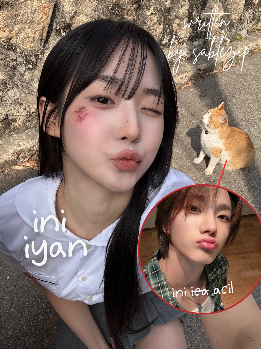 sablezip's tweet image. iyan ketemu kucing nyangkut di pohon saat perjalanan pulang, pas udah dimandiin, kok kucingnya jadi orang sih???

pochaster — sungho seoyeon fewtweets au