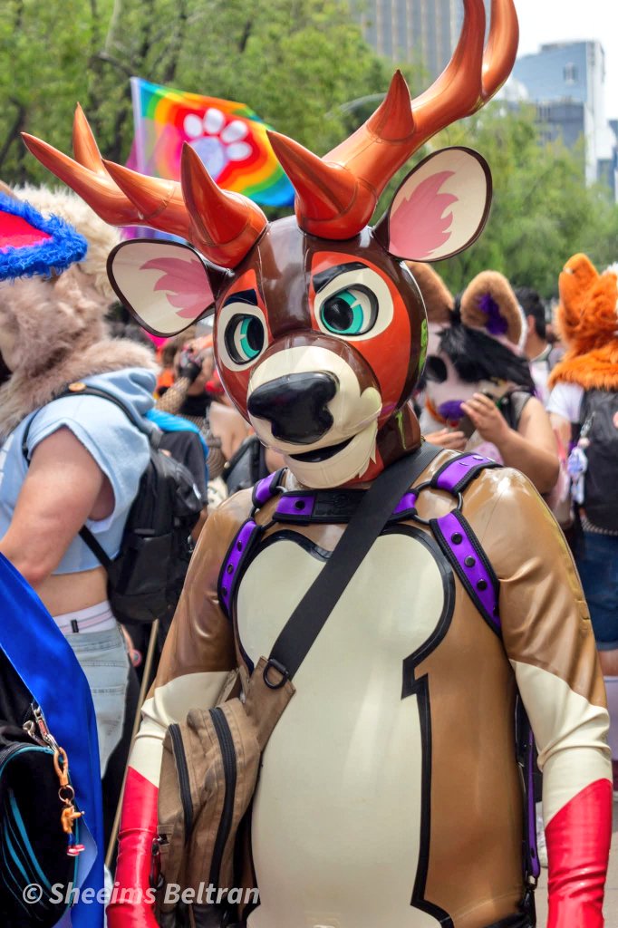 Alph Lang (@alphxlang) on Twitter photo Not just a wolf, but also a deer.
Clearly so.
Pic by Sheeims Beltrán
Hood by <a href="/karinKariwanz/">Karin / Kariwanz カリン / カリわんズ</a>
Body by <a href="/PETSUITFORFUN/">PETSUIT ペットスーツ</a>
#ShinySunday #SqueakySunday #Rubberfur #Rubberfurs #Latexfur #Latexfurs #Rubberfursuit #Latexfursuit Not just a wolf, but also a deer.
Clearly so.
Pic by Sheeims Beltrán
Hood by <a href="/karinKariwanz/">Karin / Kariwanz カリン / カリわんズ</a>
Body by <a href="/PETSUITFORFUN/">PETSUIT ペットスーツ</a>
#ShinySunday #SqueakySunday #Rubberfur #Rubberfurs #Latexfur #Latexfurs #Rubberfursuit #Latexfursuit