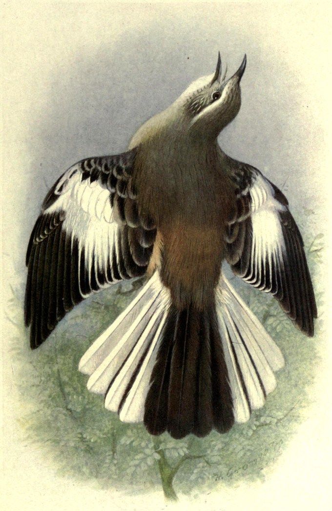 "defend joy as a destiny
defend it from fire and firefighters
from suicides and homicides
from vacations and ruts
from the obligation to be joyful"
mailchi.mp/themarginalian…