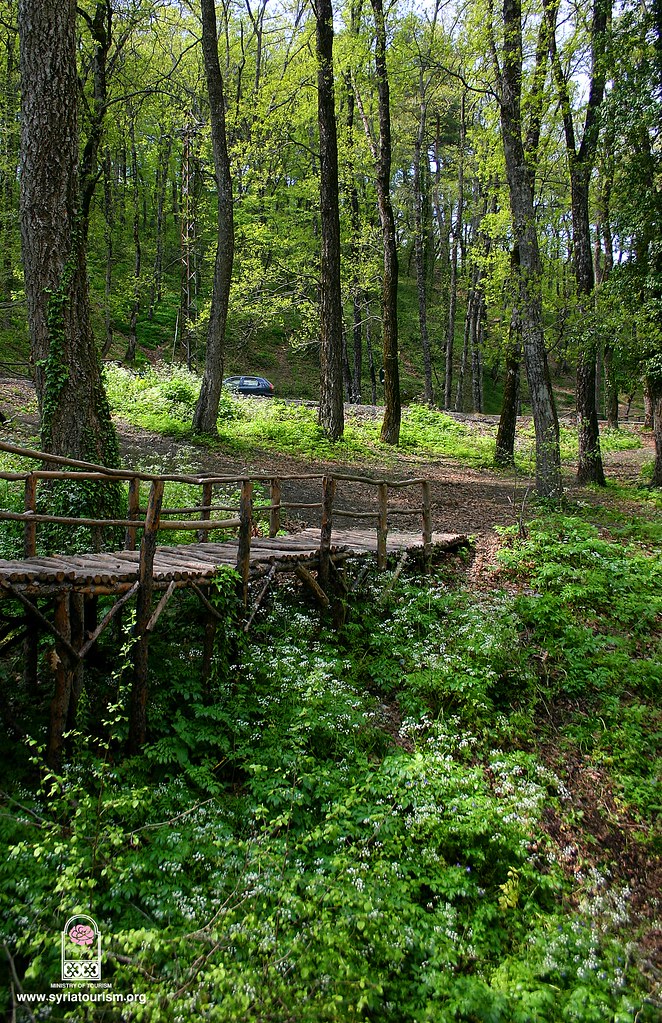 حلم حياتي عم يحترق حالياً
 #اللاذقية #الفرلق