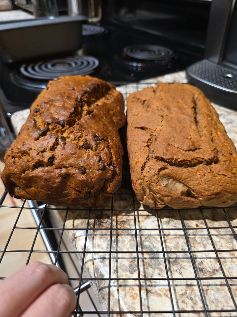 VickyChaiTea1's tweet photo. Madras vegan banana bread! One used oil, the other applesauce. The oil one rose much better! https://t.co/9RZlXlJq2A