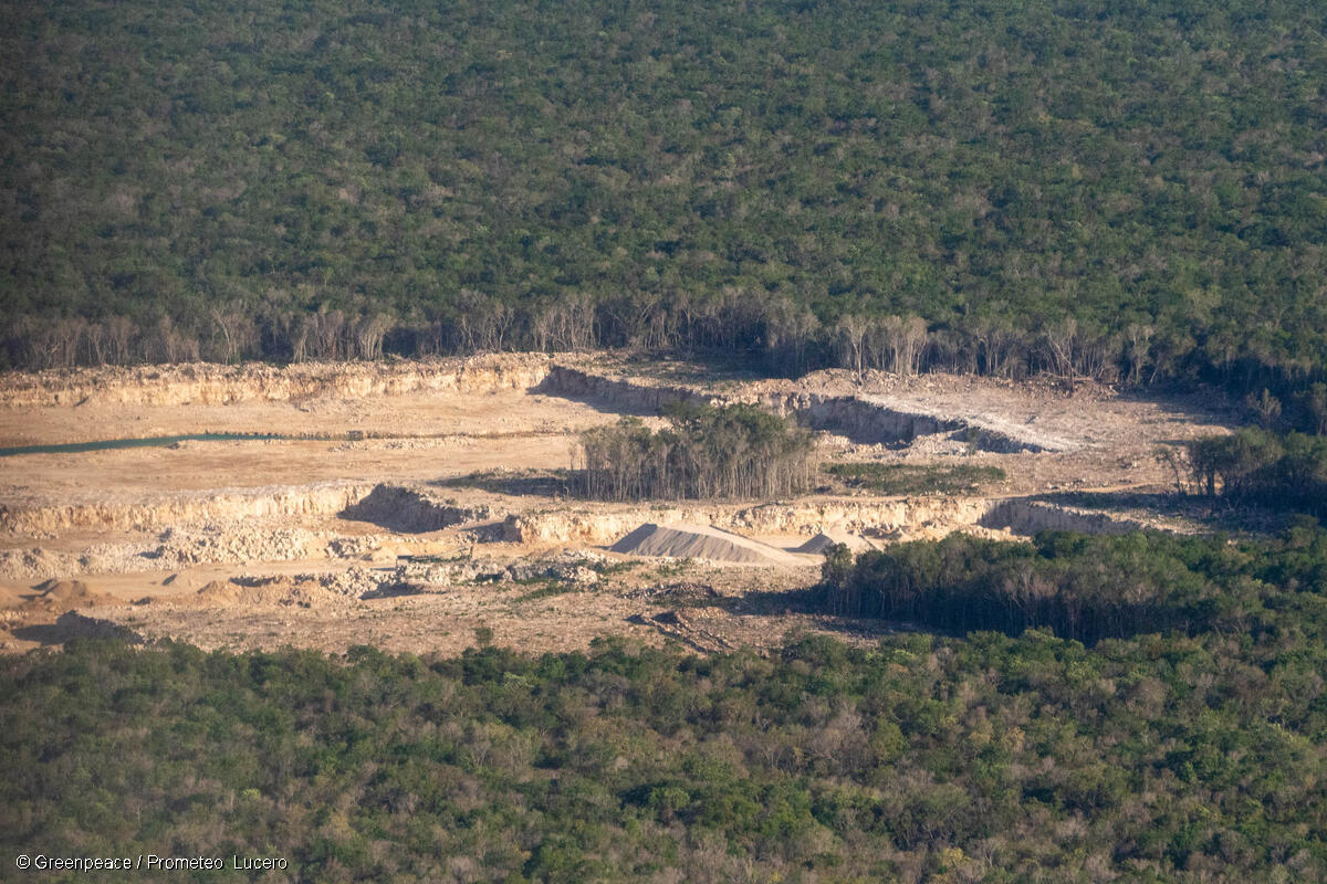 greenpeacemx's tweet photo. 🧵 ¿Sabes quién destruyó la Selva Maya para hacer dinero?

Te presentamos a #Calica: la mina a cielo abierto que dejó una herida de más de 2 mil hectáreas en Quintana Roo. https://t.co/XISzgdEvpn