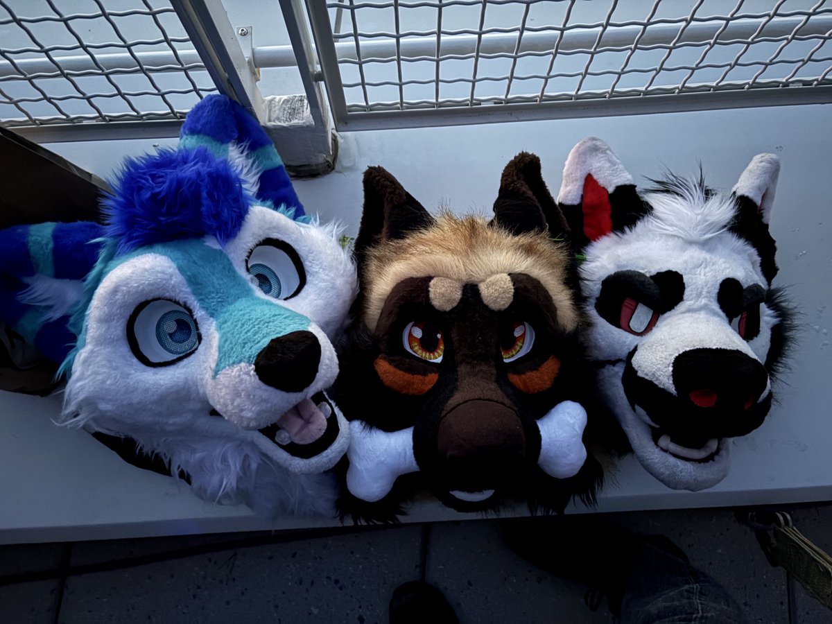 MaximMalinois's tweet image. Had an amazing #anthrocon2025! I was super busy and didn’t have time for everything. The weekend went by so fast x_x but that’s ok! I had a blast and this has been one of my most memorable cons. Love y’all and I hope I see everyone next year!