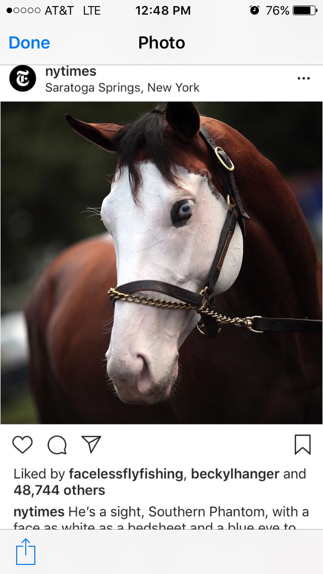 Eric Guillot tweet media