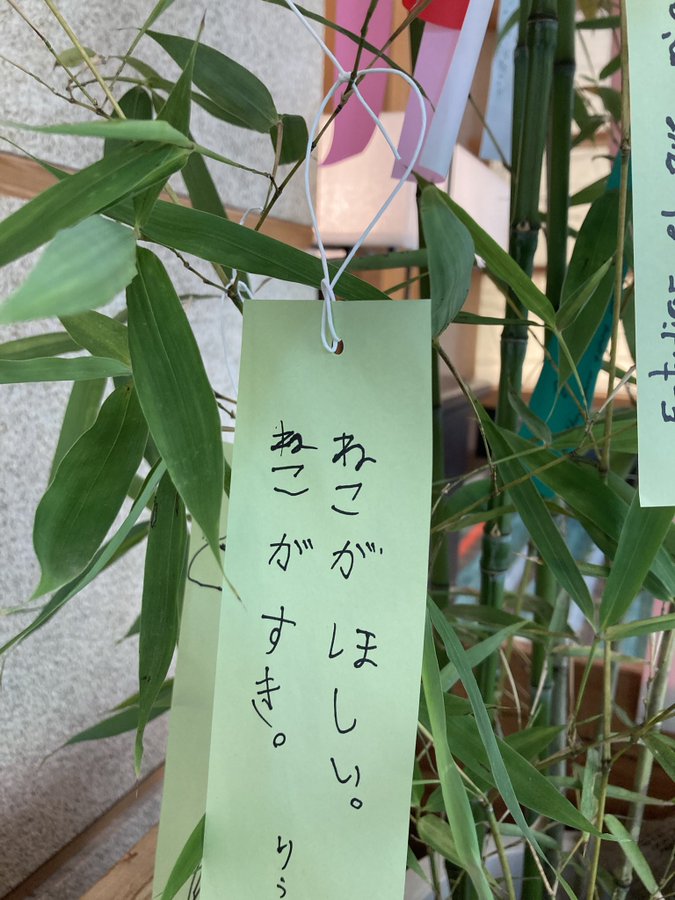 イルコモンズ (@illcommonz) on Twitter photo 