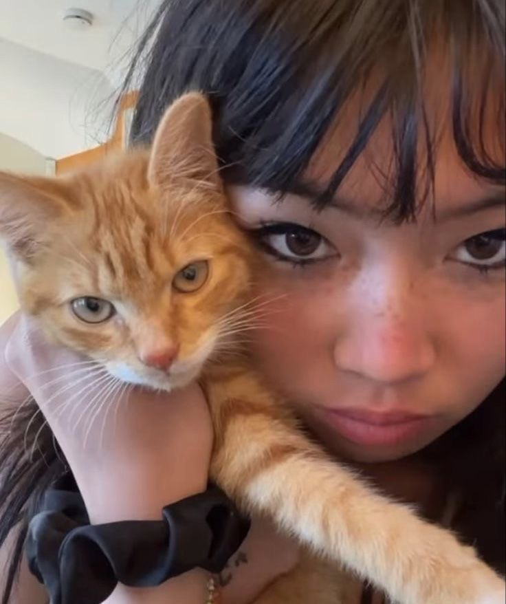 becα ☆ (@sourzpes) on Twitter photo 