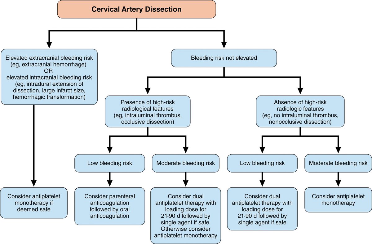 Amit Chaudhari MD (@neuroirdoc) on Twitter photo <a href="/StrokeAHA_ASA/">Stroke AHA/ASA</a> statement on the ongoing debate of anticoagulation vs dual antiplatelets vs aspirin monotherapy for cervical artery #dissection by <a href="/ShadiYaghi2/">Shadi Yaghi</a> <a href="/AshuPJadhav/">AshuJadhav</a> and other #NeuroIR leaders
ahajournals.org/doi/epub/10.11… <a href="/StrokeAHA_ASA/">Stroke AHA/ASA</a> statement on the ongoing debate of anticoagulation vs dual antiplatelets vs aspirin monotherapy for cervical artery #dissection by <a href="/ShadiYaghi2/">Shadi Yaghi</a> <a href="/AshuPJadhav/">AshuJadhav</a> and other #NeuroIR leaders
ahajournals.org/doi/epub/10.11…