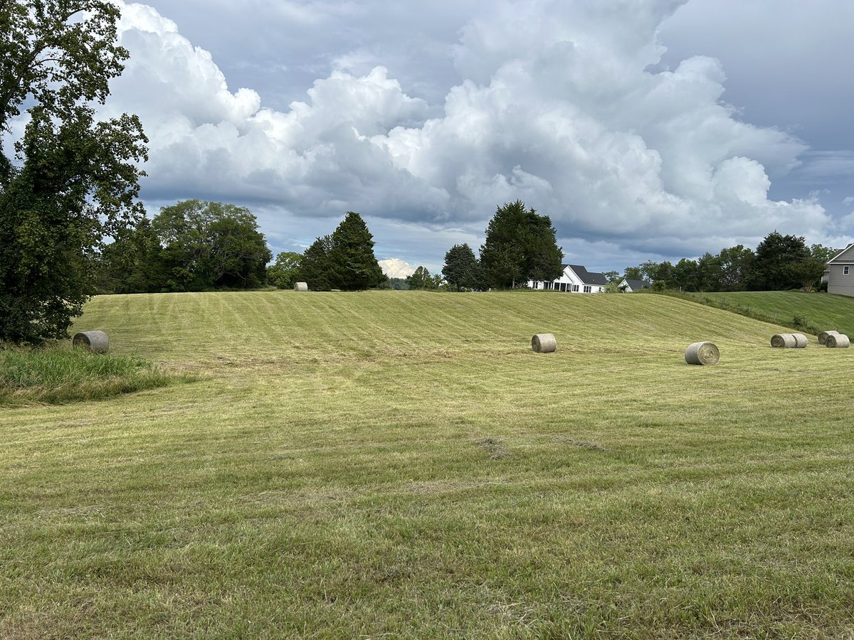 July 6 and first cutting of hay is finally done. Normally done first part of June. Thankful for the rain we got but it sure did make for a tough hay season