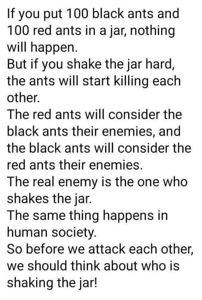 nancyhighlands7 (@nancyhighlands1) on Twitter photo 