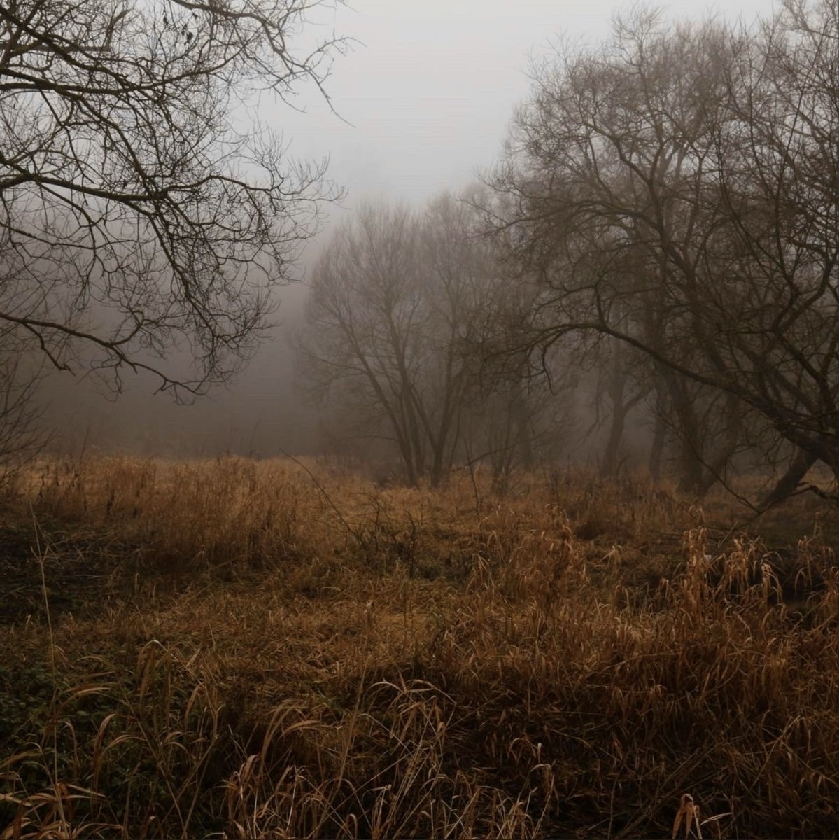 NostAcademia's tweet image. The mystery of human existence lies not in just staying alive, but in finding something to live for 🤎 Autumn