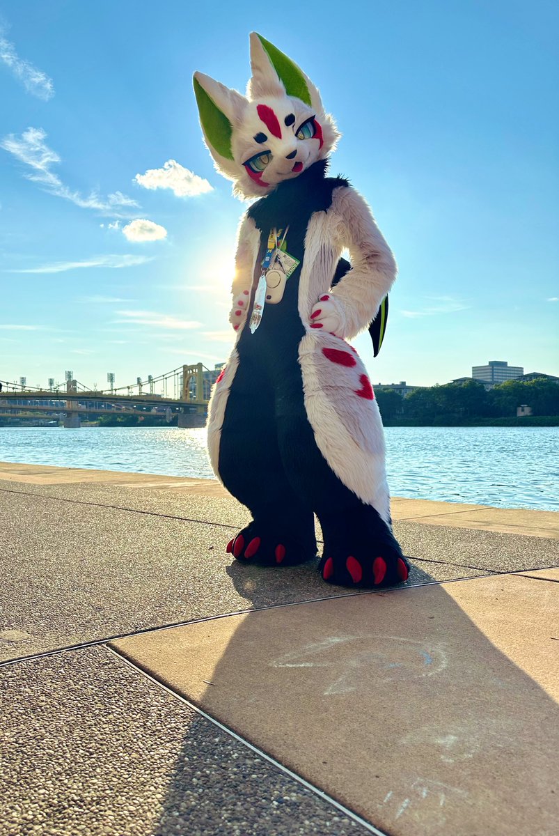 Took this amazing shot of <a href="/mr_sylveon_/">Panda & 柳笛 & 拉法尔 ➡️ AC!</a>  at the waterfront! Amazing suit🔥
#anthrocon2025 #furry
