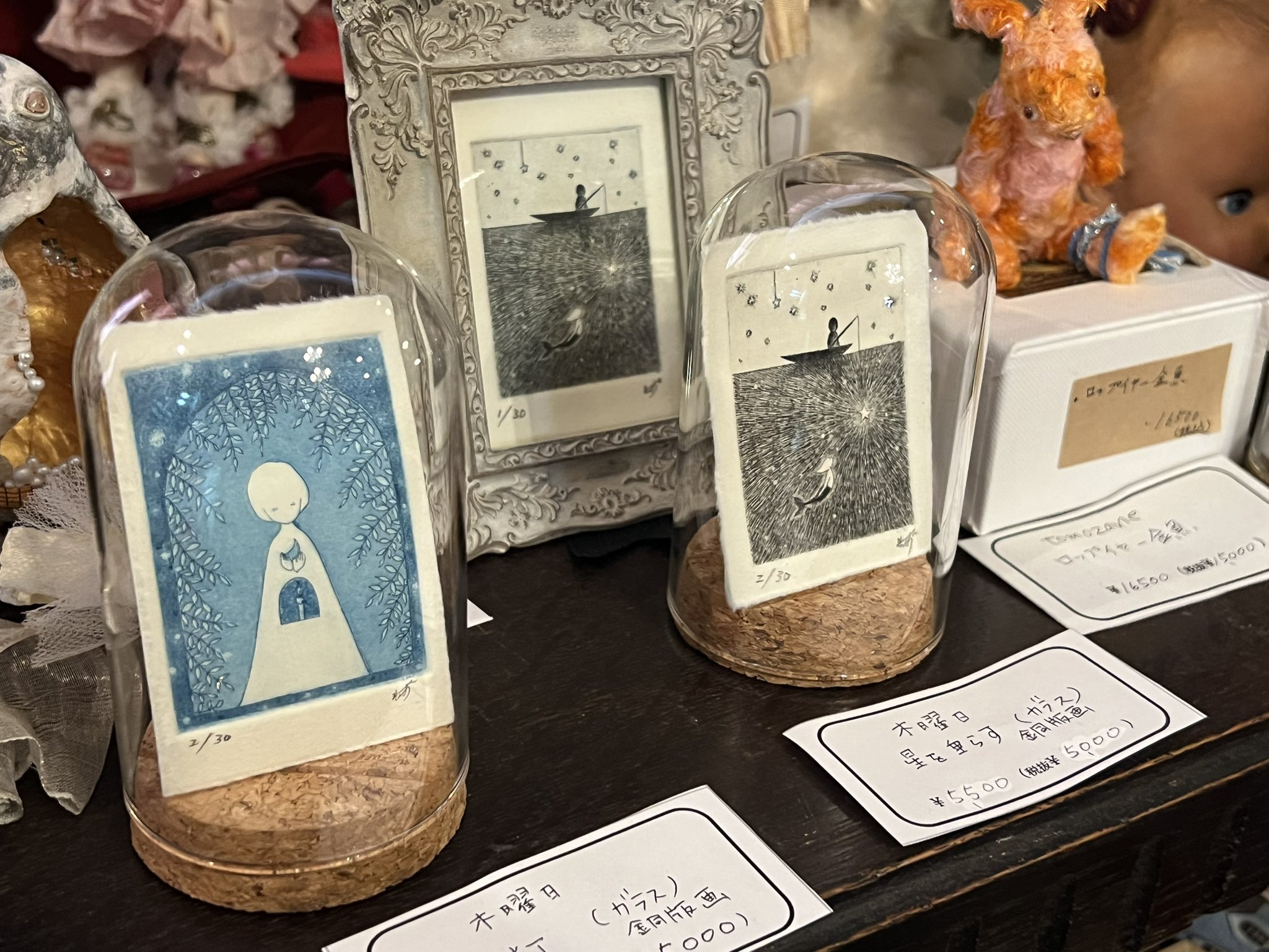 コルメキッサ⭐︎7/5-企画展「金魚たちの見る夢は2025」（横浜市